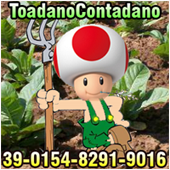 Immagine inserita