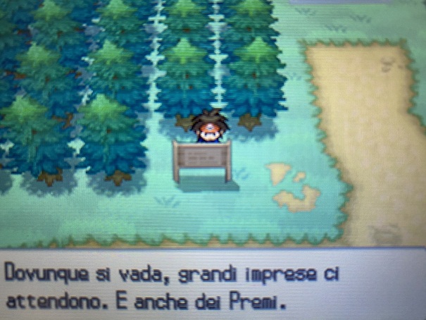 Immagine inserita